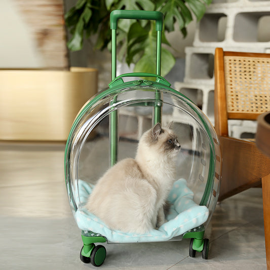 Kedi Köpek Bavulu, şeffaf pencere geniş görüş seyahat tekerlekli çanta