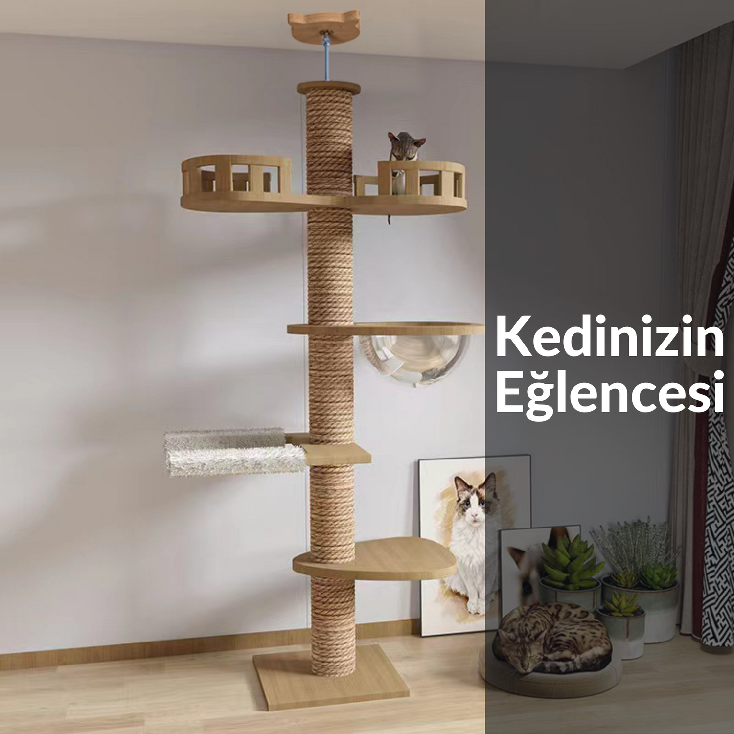 Kedi Tırmalama