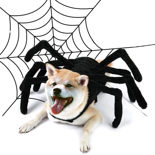 狗蜘蛛服装